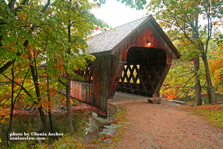 CB-63A--in-Autumn-Henniker-IMG_5255