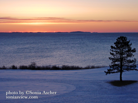 SC-295-Maine-Ocean-Viuew-with-Tree