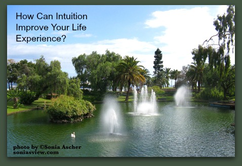 Intuition